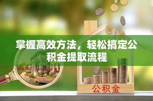 文安掌握高效方法，轻松搞定公积金提取流程