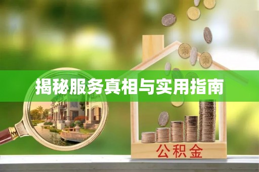 文安揭秘服务真相与实用指南