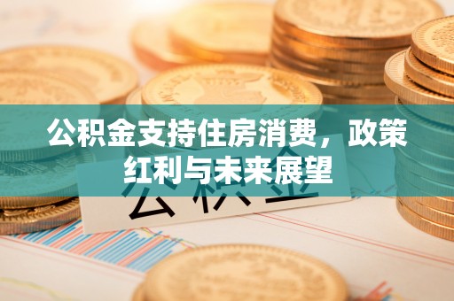 文安公积金支持住房消费，政策红利与未来展望