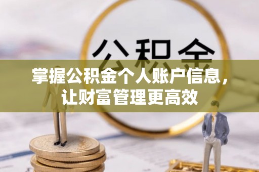 文安掌握公积金个人账户信息，让财富管理更高效
