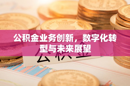 文安公积金业务创新，数字化转型与未来展望