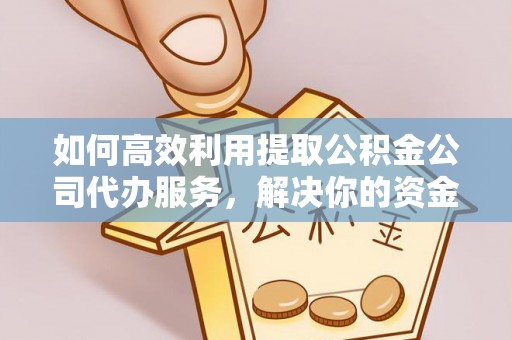 文安如何高效利用提取公积金公司代办服务，解决你的资金难题