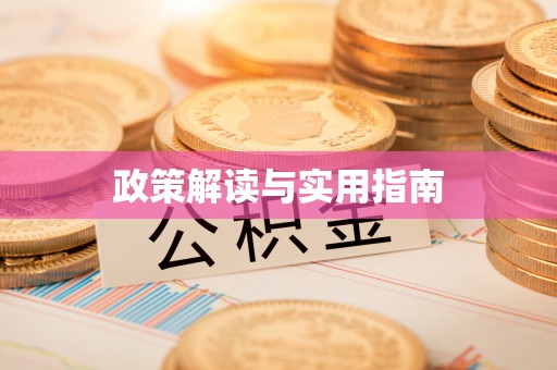 文安政策解读与实用指南