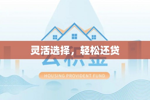 文安灵活选择，轻松还贷