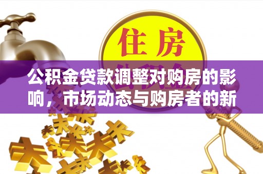 文安公积金贷款调整对购房的影响，市场动态与购房者的新选择