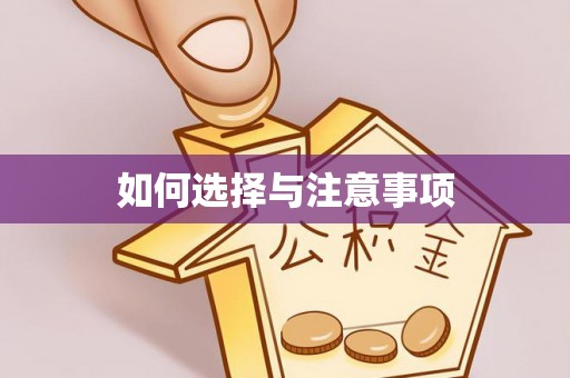 文安如何选择与注意事项