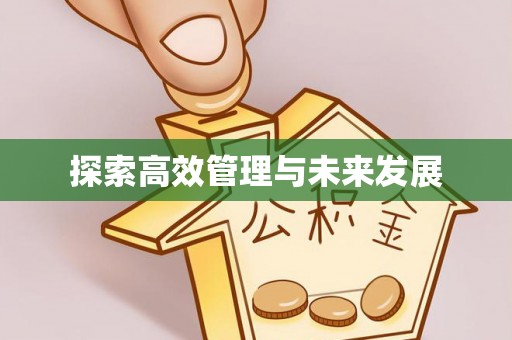 文安探索高效管理与未来发展
