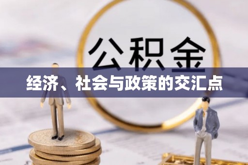 文安经济、社会与政策的交汇点