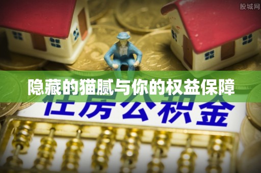 文安隐藏的猫腻与你的权益保障