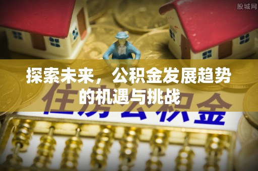 文安探索未来，公积金发展趋势的机遇与挑战
