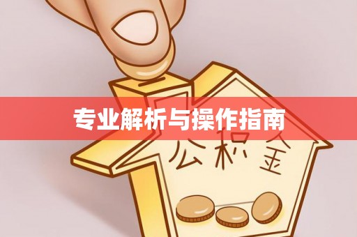 文安专业解析与操作指南