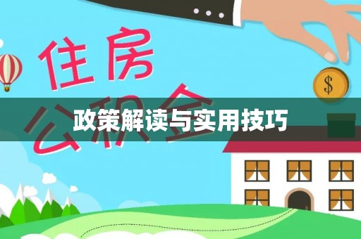 文安政策解读与实用技巧