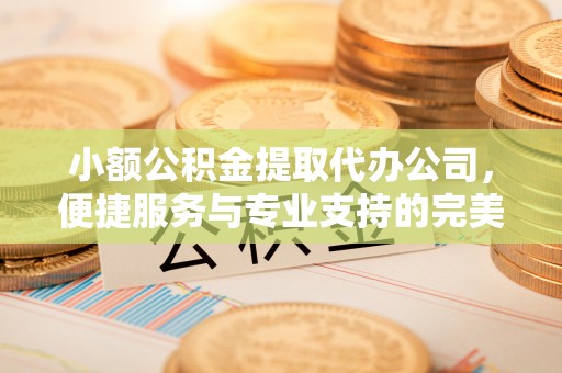 文安小额公积金提取代办公司，便捷服务与专业支持的完美结合