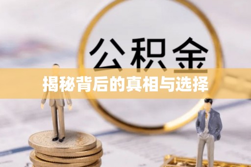 文安揭秘背后的真相与选择