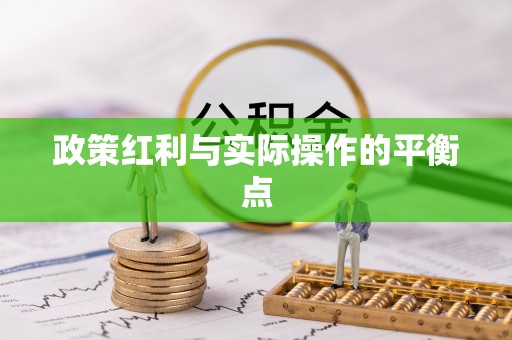 文安政策红利与实际操作的平衡点