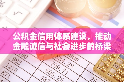 文安公积金信用体系建设，推动金融诚信与社会进步的桥梁
