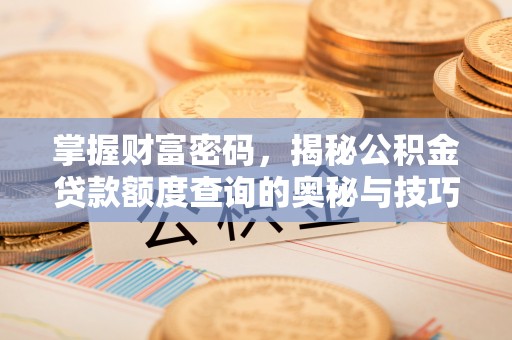 文安掌握财富密码，揭秘公积金贷款额度查询的奥秘与技巧