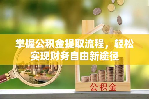 文安掌握公积金提取流程，轻松实现财务自由新途径