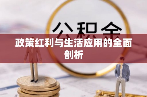 文安政策红利与生活应用的全面剖析