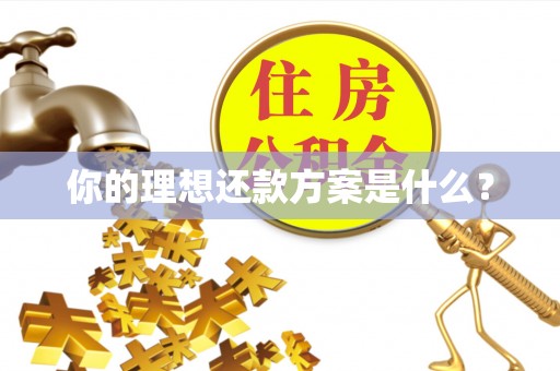 文安你的理想还款方案是什么？