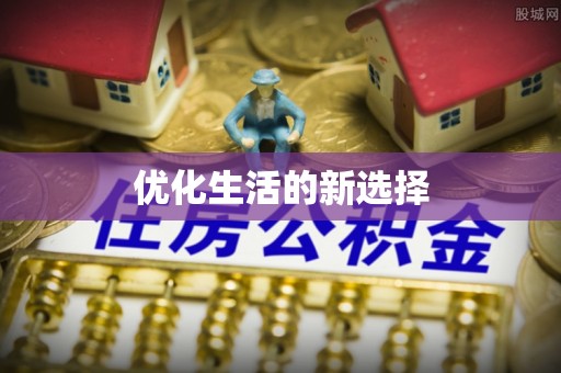文安优化生活的新选择