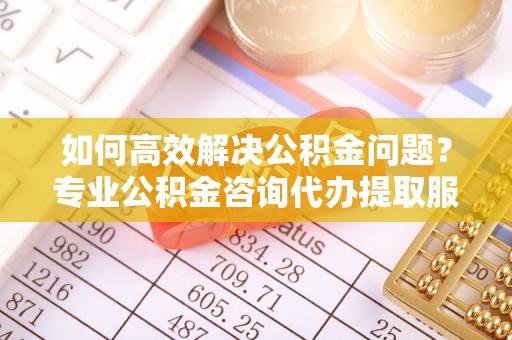 文安如何高效解决公积金问题？专业公积金咨询代办提取服务来帮你