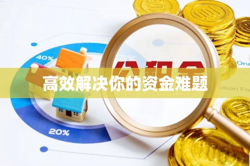 文安高效解决你的资金难题