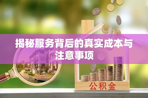 文安揭秘服务背后的真实成本与注意事项