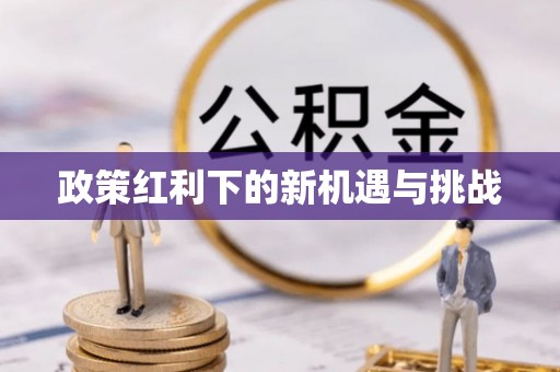 文安政策红利下的新机遇与挑战