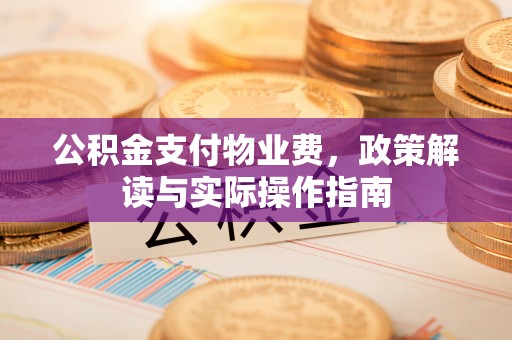 文安公积金支付物业费，政策解读与实际操作指南