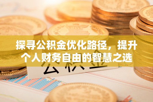文安探寻公积金优化路径，提升个人财务自由的智慧之选