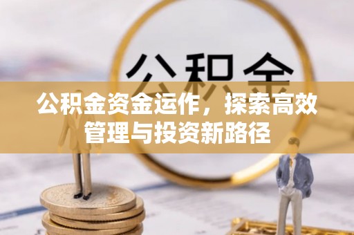 文安公积金资金运作，探索高效管理与投资新路径