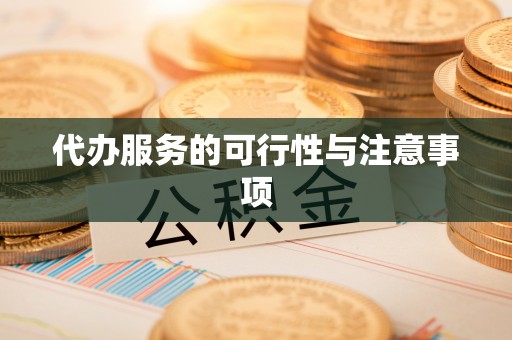 文安代办服务的可行性与注意事项
