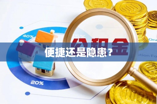文安便捷还是隐患？