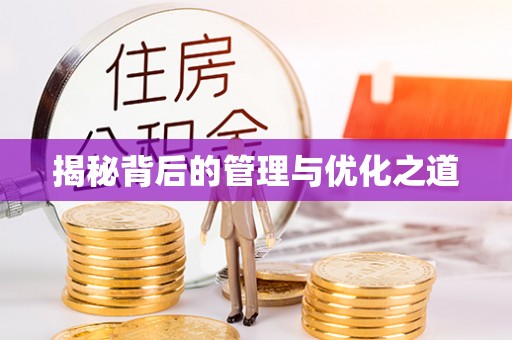 文安揭秘背后的管理与优化之道