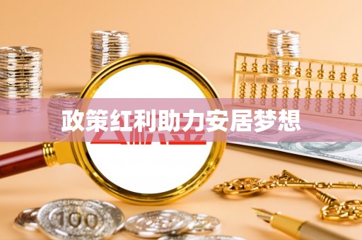 文安政策红利助力安居梦想