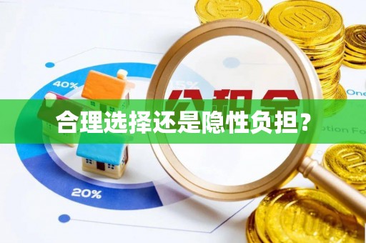 文安合理选择还是隐性负担？