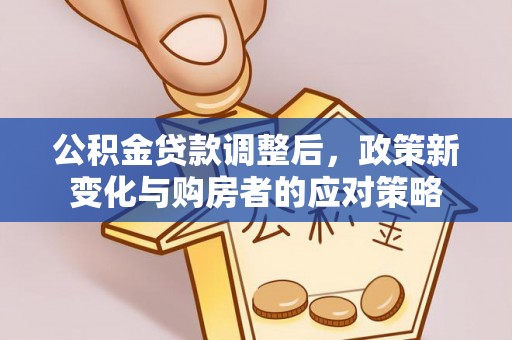 文安公积金贷款调整后，政策新变化与购房者的应对策略