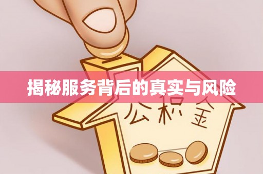 文安揭秘服务背后的真实与风险