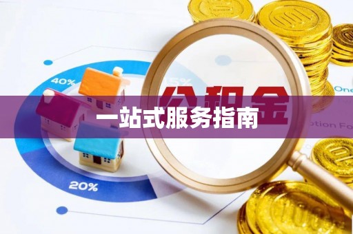 文安一站式服务指南