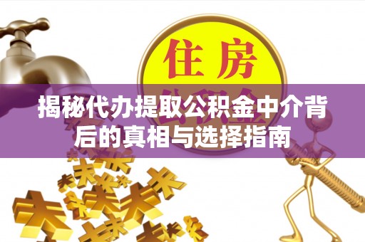文安揭秘代办提取公积金中介背后的真相与选择指南