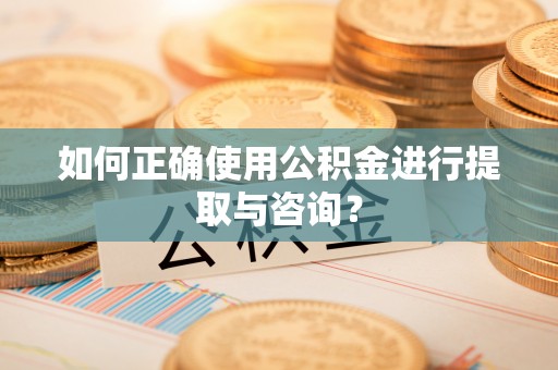 文安如何正确使用公积金进行提取与咨询？