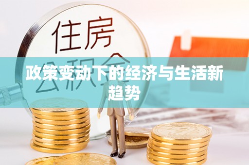 文安政策变动下的经济与生活新趋势
