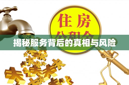 文安揭秘服务背后的真相与风险