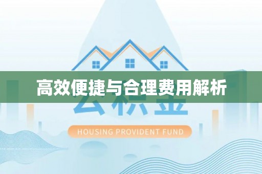 文安高效便捷与合理费用解析