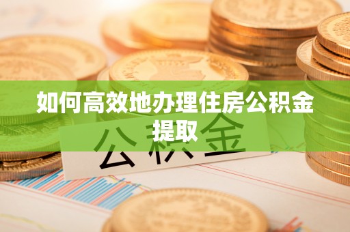 文安如何高效地办理住房公积金提取