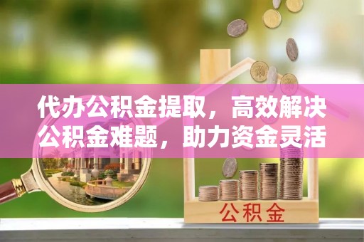 文安代办公积金提取，高效解决公积金难题，助力资金灵活使用