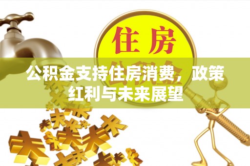 文安公积金支持住房消费，政策红利与未来展望