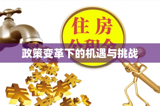 文安政策变革下的机遇与挑战