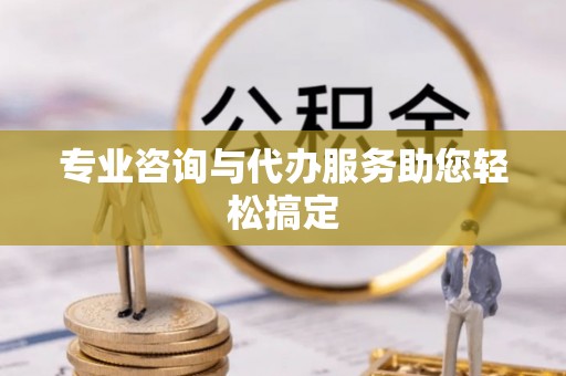 文安专业咨询与代办服务助您轻松搞定